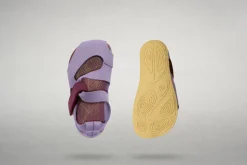 Feder